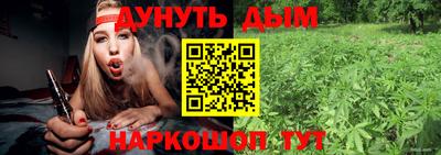 сатива Апшеронск