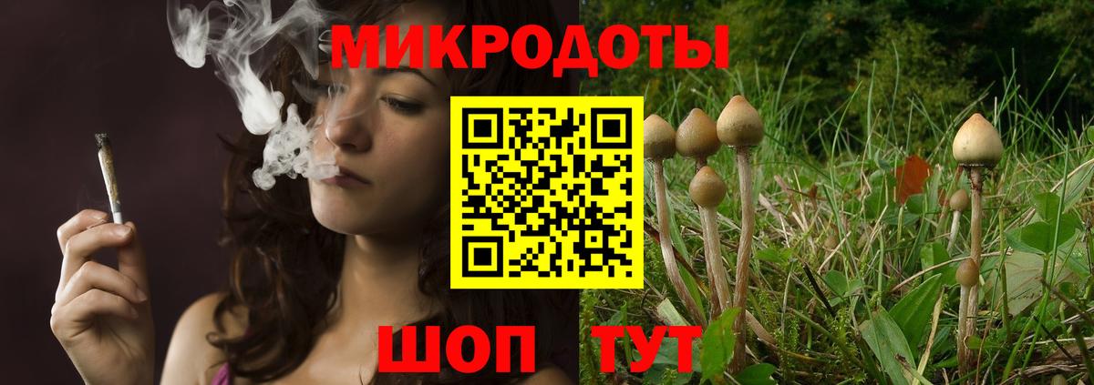 Псилоцибиновые грибы прущие грибы Астрахань