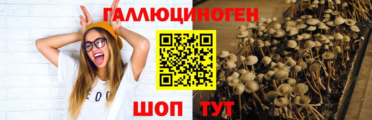 Галлюциногенные грибы Magic Shrooms  Вход с VPN  Галлюциногенные грибы Cubensis  Астрахань 